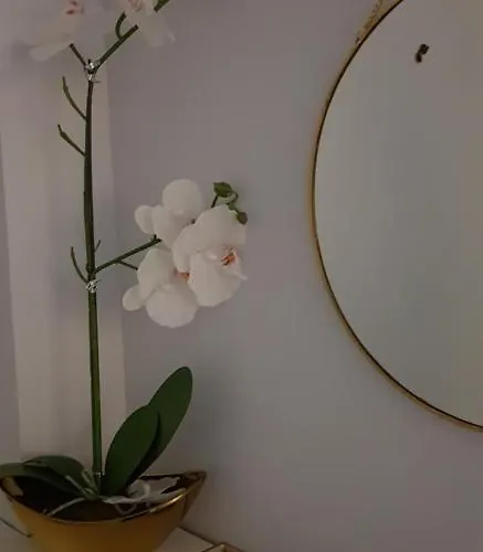 La Parada De Echegaray סרגוסה